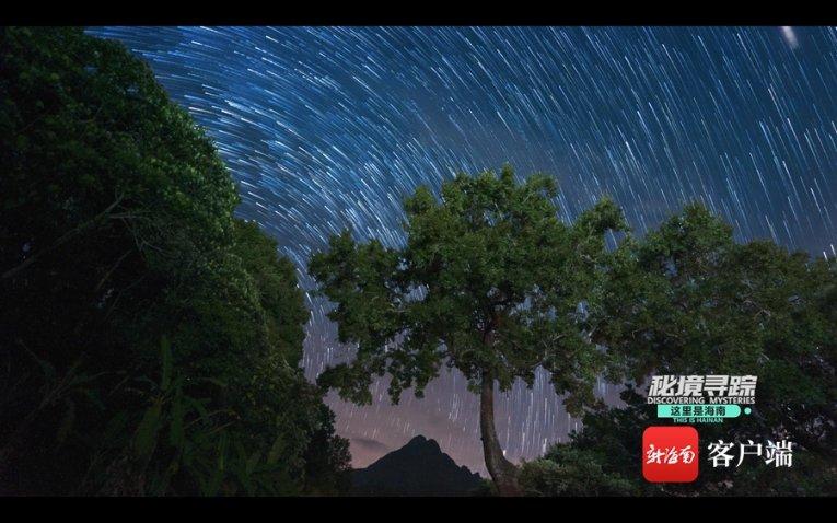 夷陵之战诸葛亮态度反复，原因是什么？