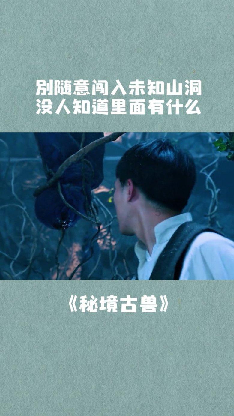 豆娃足球冒险
