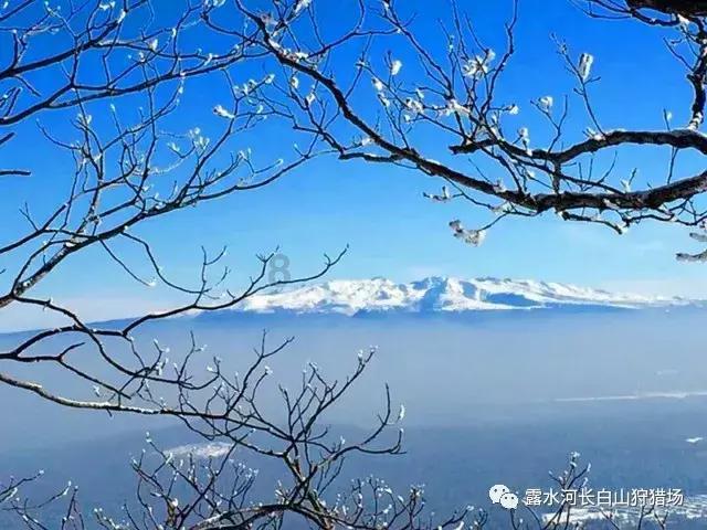 妙鸭相机app下载官网