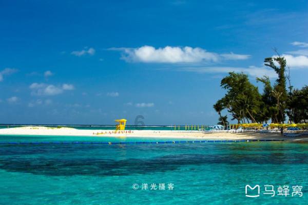 救援大嘴鸟