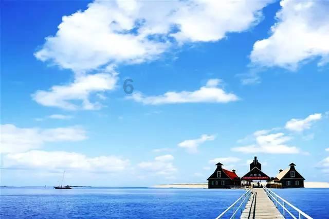 僵尸顶顶乐