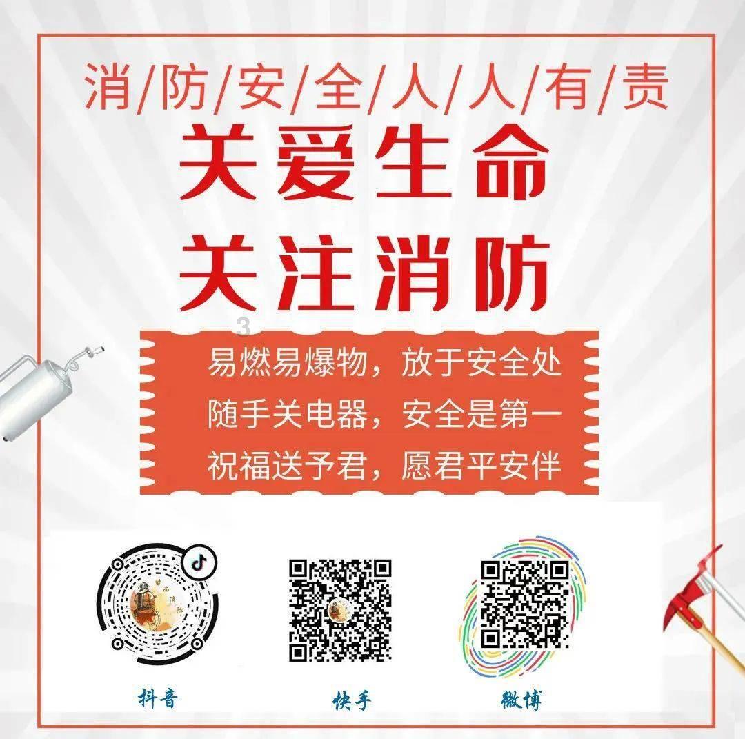 动物帮帮忙保卫家园