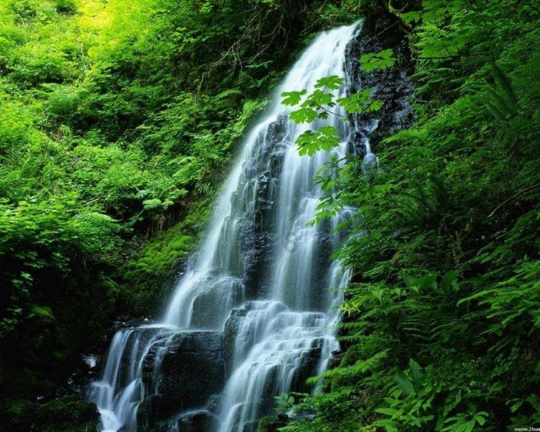 《深海之心》