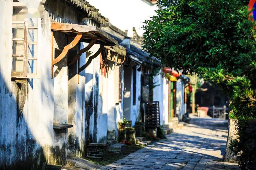 救援蓝鸦