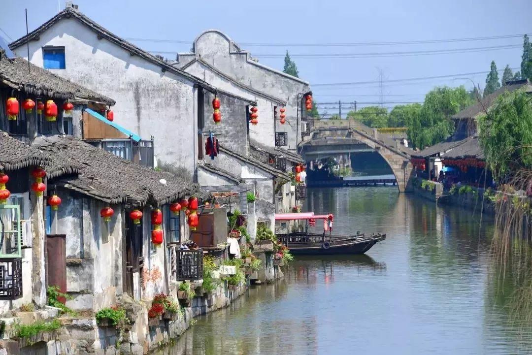 救援大嘴鸟