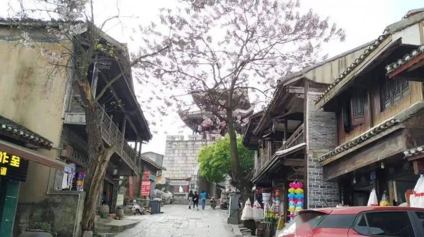 细胞分裂5